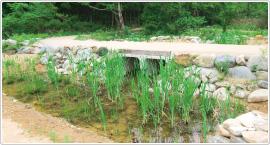 石垣の横の池に草が生い茂っている写真