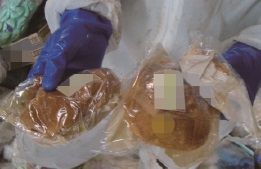 茶色い食品を青い手袋をして両手で持っている写真。那須塩原市の調査で確認した食品ロス。