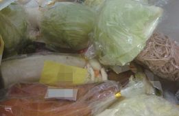 緑色や茶色のゴミ袋を集めた写真。那須塩原市の調査で確認した食品ロス。