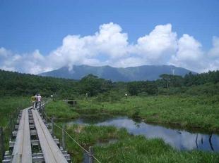 沼ッ原湿原の木の板の上を歩いている観光客と一面に広がる緑の写真