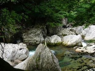 険しい岩の間を流れている木の俣渓谷の写真その2