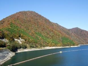 左側に紅葉の山が写っている深山湖の写真
