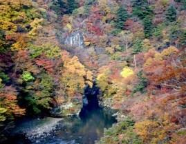 紅葉の間を縫うように流れている塩原渓谷の写真