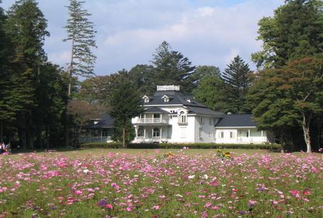 ハンナガーデンのコスモスが青木別邸前にたくさん咲いている写真