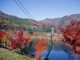 池の上を通っている吊橋と紅葉の様子の写真
