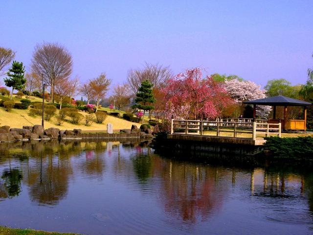 池の周りに整えられた植木が並ぶ日本庭園の写真