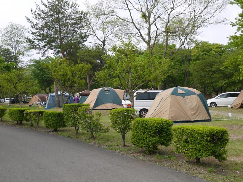 芝生の上に、いくつかのテントと自家用車が停まっている鳥野目オートサイトの写真