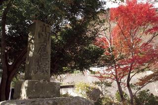 右手に赤く紅葉している木があり左手に紅葉していない緑の木があり、緑の木の下にある「高尾塚」と書かれた高尾塚碑の写真