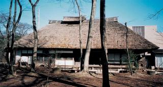 茅葺屋根の建物が奥にあり、手前に木が数本立っている写真