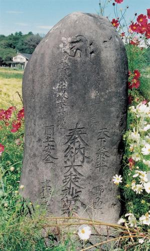 石に文字が刻まれている石林の道標が立っている写真