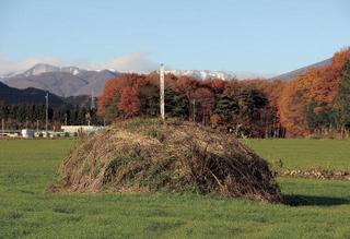 草むらの中に丸くもり上がっている笹野曽里西の一里塚（ささのそりにしのいちりづか）の写真