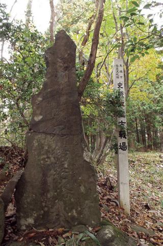 木の前に立つ、文字が刻まれた石碑の写真