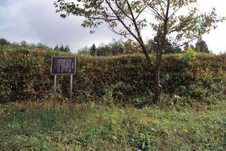 右手に木があり左手に看板がある、草が生え茂った塩原（要害）城跡の写真