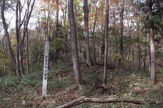 林の中に碑が立っている板室本村の一里塚(いたむろほんそんのいちりづか)の写真