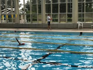 早朝の屋内プールにて、クロールを泳ぐオーストリアの選手の写真