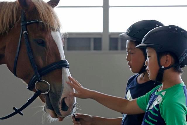 乗馬用ヘルメットを被って馬と触れ合う児童二人の写真