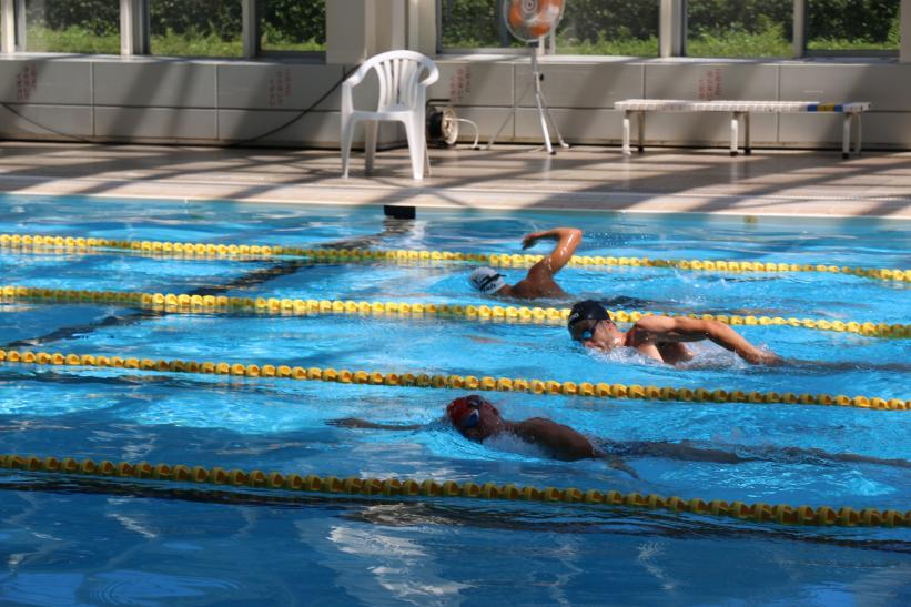屋内プールにおける、スイムのトレーニング風景の写真。選手たちがクロールで泳いでいる様子が確認できる